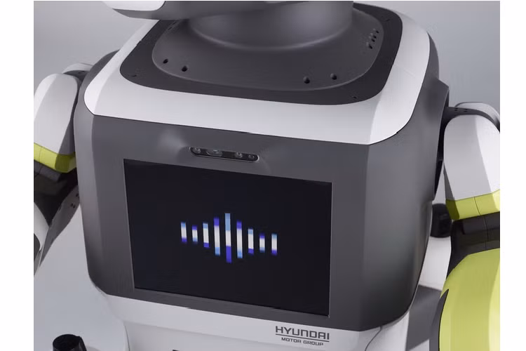 DAL-e có các thông số dài x rộng x cao tương ứng 1.160 x 600 x 600 (mm) và cân nặng 80 kg. Trong buổi ra mắt tại một đại lý Hyundai ở Seoul (Hàn Quốc), DAL-e đảm nhiệm vai trò đón tiếp và hướng dẫn khách hàng - công việc phù hợp với hàng loạt tính năng và cử chỉ tương tác thân thiện, tự nhiên có trên robot này.