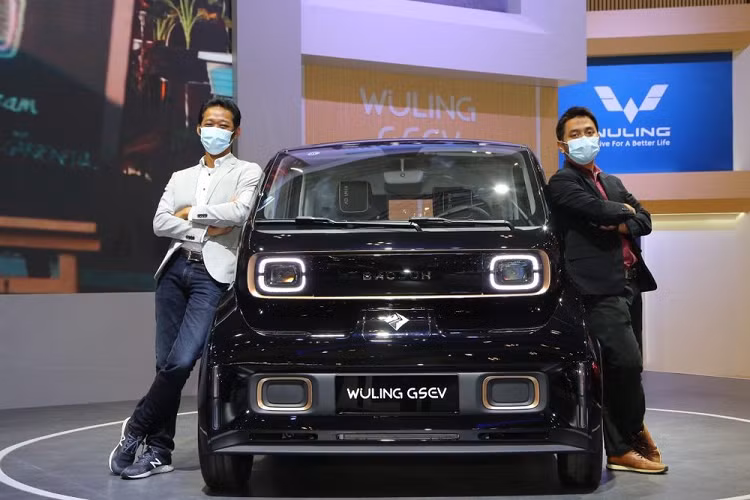 Cả Wuling Hongguang Mini EV lẫn Kiwi EV đều do liên doanh giữa tập đoàn General Motors (GM), SAIC Motor và Liuzhou Wuling Motors phát triển. Đồng thời, cả hai đều là ô tô điện cỡ nhỏ, phù hợp với các đô thị đông đúc.