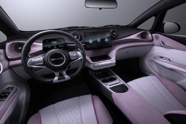 Ngoài ra, Dolphin còn là mẫu xe BYD đầu tiên được áp dụng ngôn ngữ thiết kế mới mang tên "Marine Aesthetics" với những đường dập gân như dòng chảy, lúc thì mềm mại lúc thì sắc sảo. Đây là ngôn ngữ do giám đốc thiết kế Wolfgang Egger của hãng BYD phát triển.