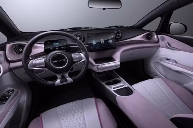 Ngoài ra, Dolphin còn là mẫu xe BYD đầu tiên được áp dụng ngôn ngữ thiết kế mới mang tên "Marine Aesthetics" với những đường dập gân như dòng chảy, lúc thì mềm mại lúc thì sắc sảo. Đây là ngôn ngữ do giám đốc thiết kế Wolfgang Egger của hãng BYD phát triển.