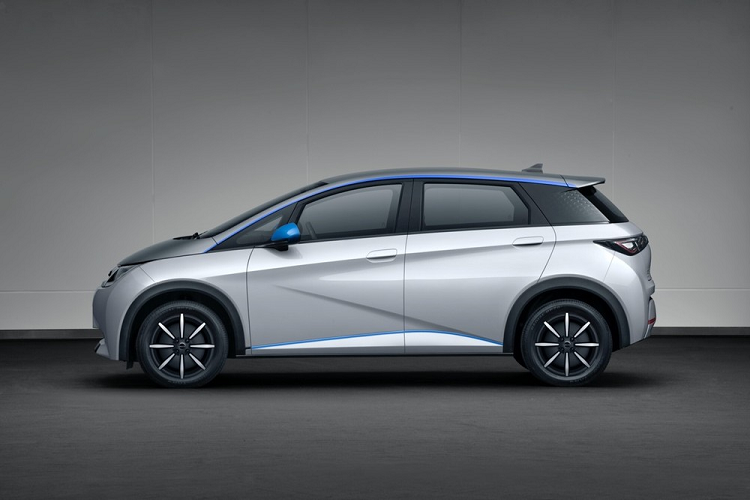 Dolphin là mẫu xe BYD đầu tiên được phát triển dựa trên cơ sở gầm bệ "e-platform 3.0" mới, dành riêng cho ôtô điện. Sau BYD Dolphin 2021 chạy điện, cơ sở gầm bệ này sẽ được dùng cho những mẫu xe điện cao cấp hơn, mang kiểu dáng sedan và crossover, của hãng BYD trong tương lai.