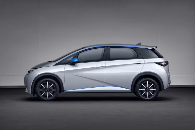 Dolphin là mẫu xe BYD đầu tiên được phát triển dựa trên cơ sở gầm bệ "e-platform 3.0" mới, dành riêng cho ôtô điện. Sau BYD Dolphin 2021 chạy điện, cơ sở gầm bệ này sẽ được dùng cho những mẫu xe điện cao cấp hơn, mang kiểu dáng sedan và crossover, của hãng BYD trong tương lai.