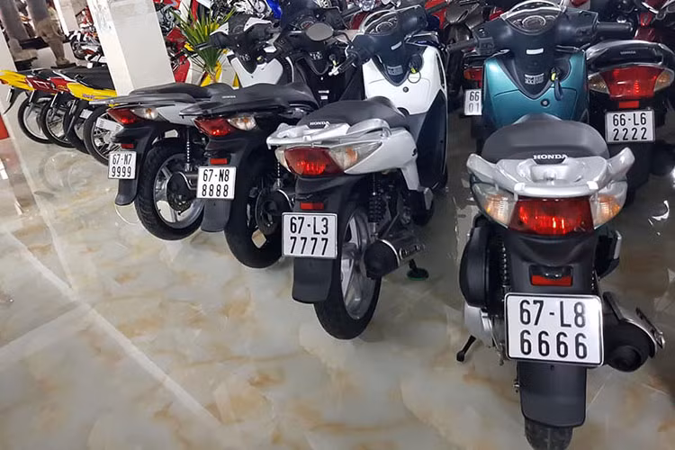 Cụ thể các mẫu xe máy biển tứ quý có mặt trong bộ sưu tập này bao gồm: Honda: Honda Dream, Honda Wave, Honda Wave Alpha, Honda Future, Honda Future Neo, Honda Click, Honda Air Blade, Honda Spacy, Honda SH, Honda Dylan...; Yamaha: Yamaha Taurus, Yamaha Jupiter Yamaha Nouvo, Yamaha Luvias và Yamaha Mio...; Suzuki: Suzuki Viva, Suzuki RGV, Suzuki RGX...