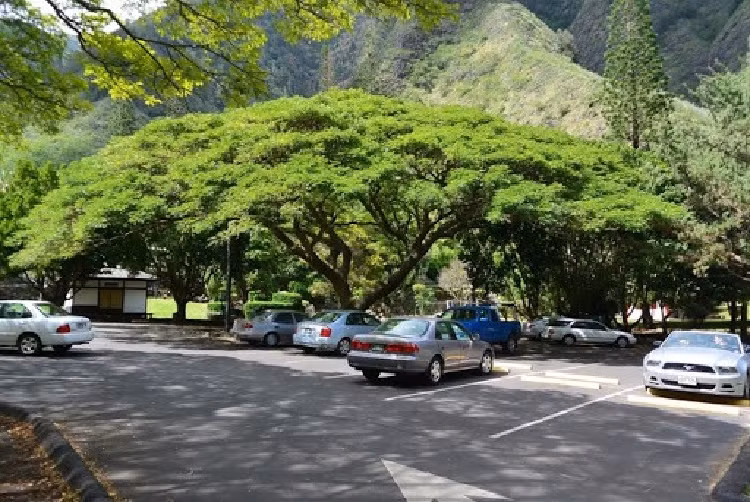 Cac bien phap don gian chong nong xe oto trong mua he 2021