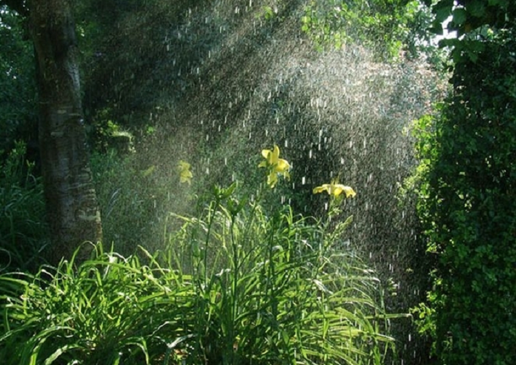 Bac Bo de phong mua giong, loc set va mua da