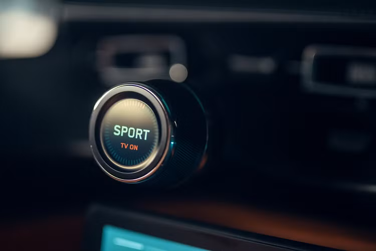 Đồng thời cung cấp hướng dẫn bằng hình ảnh và âm thanh rõ ràng, chính xác để hỗ trợ người lái hoàn thiện kĩ năng lái xe trong trường đua đặc biệt ở các điểm phanh và tăng tốc cũng như thời điểm đánh lái. Hệ thống sẽ có sẵn vào năm 2022 thông qua một bản cập nhật qua mạng cho những chiếc xe đã được giao.