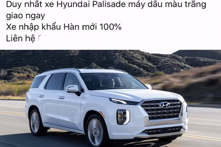 Giá cao, số lượng xe chỉ có một chiếc được chào bán, chính vì thế Hyundai Palisade nhập chính hãng trở thành “của lạ” dành cho những khách hàng chịu chơi – chịu chi. Hiện tại, TC Motor vẫn chưa có kế hoạch phân phối dòng Hyundai Palisade, trong khi khách hàng Việt, đặc biệt là những khách hàng sử dụng dòng SantaFe nói riêng luôn dành sự quan tâm rất lớn với dòng xe này.