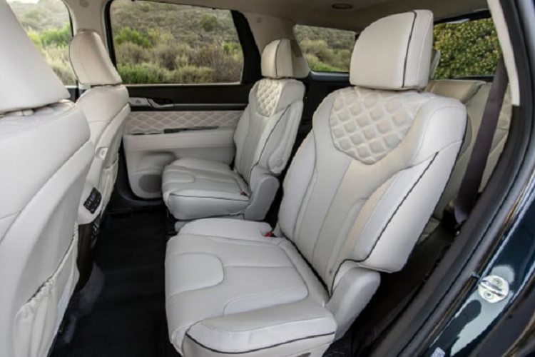 Hyundai Palisade tại Việt Nam không có bản máy xăng, vì dòng xe này phiên bản máy xăng sử dụng động cơ V6 3.8 lít GDi (291hp + 355Nm) có dung tích lớn, “gánh” nhiều thuế TTĐB. Trước đó, đã có nhiều tin đồn TC Motor có kế hoạch phân phối chính hãng dòng Hyundai Palisade nhập Hàn, bản máy dầu để cạnh tranh với Ford Explorer (nhập Mỹ), nhưng đến nay vẫn còn bỏ ngõ!