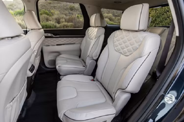 Hyundai Palisade tại Việt Nam không có bản máy xăng, vì dòng xe này phiên bản máy xăng sử dụng động cơ V6 3.8 lít GDi (291hp + 355Nm) có dung tích lớn, “gánh” nhiều thuế TTĐB. Trước đó, đã có nhiều tin đồn TC Motor có kế hoạch phân phối chính hãng dòng Hyundai Palisade nhập Hàn, bản máy dầu để cạnh tranh với Ford Explorer (nhập Mỹ), nhưng đến nay vẫn còn bỏ ngõ!