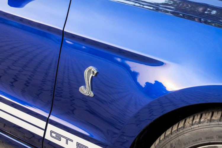 Chữ Shelby nằm cách điệu ngay dưới cánh gió, xe sử dụng hệ thống ống xả thể thao với bốn chụp xả chia đều cho hai bên. Về truyền động, Ford Mustang Shelby GT500 sử dụng khối động cơ V8 siêu nạp có dung tích 5.8 lít sản sinh công suất tối đa 662 mã lực tại vòng tua 6.500 vòng/phút và mô men xoắn cực đại đạt mức 856 Nm tại vòng tua 4.000 vòng/phút.