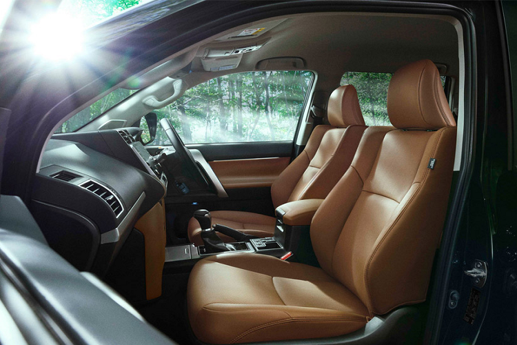 Vẻ sang trọng bên trong khoang nội thất được toát lên từ bộ ghế bọc da màu nâu trầm. Một số vị trí mà hành khách thường xuyên sờ chạm, cầm nắm cũng được bọc da, bao gồm: táp-pi cửa, yên ngựa và cần số.