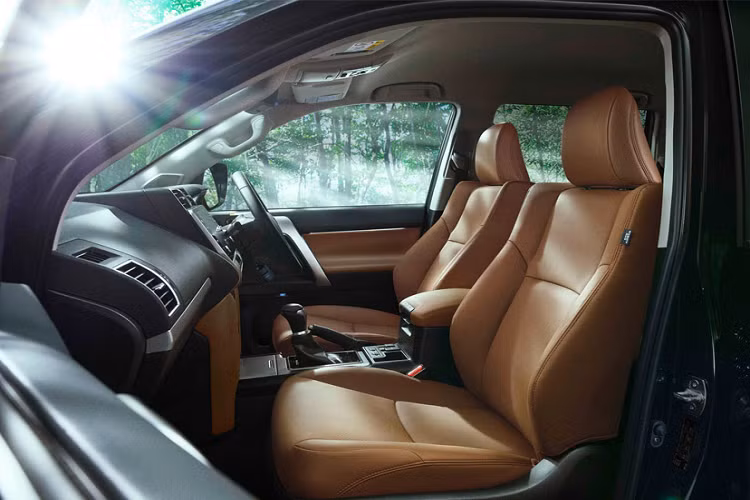 Vẻ sang trọng bên trong khoang nội thất được toát lên từ bộ ghế bọc da màu nâu trầm. Một số vị trí mà hành khách thường xuyên sờ chạm, cầm nắm cũng được bọc da, bao gồm: táp-pi cửa, yên ngựa và cần số.