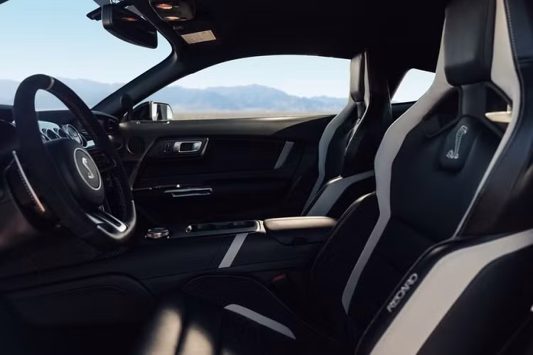 Dựa trên những hình ảnh từ đoạn video và hình ảnh chụp lại, chiếc Ford Mustang Shelby GT500 2020 đầu tiên tại Việt Nam được tuỳ chọn nước sơn ngoại thất màu xanh dương, kếp hợp sọc kép màu trắng chạy chính giữa từ đầu tới đuôi xe.