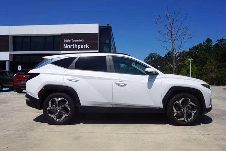 Sau khi sử dụng được khoảng 2 tuần, vị khách Việt đầu tiên sở hữu Hyundai Tucson cho biết khá hài lòng với chiếc xe của mình nhờ phần ngoại hình trẻ trung, đặc biệt hệ thống đèn chiếu sáng LED hoàn toàn với thiết kế mới khá bắt mắt. Chia sẻ trên mạng xã hội, nhiều người dùng tại Việt Nam cũng đồng quan điểm với thiết kế ngoại hình bắt mắt của Tucson mới và háo hức chờ ngày TC Motor mở bán.