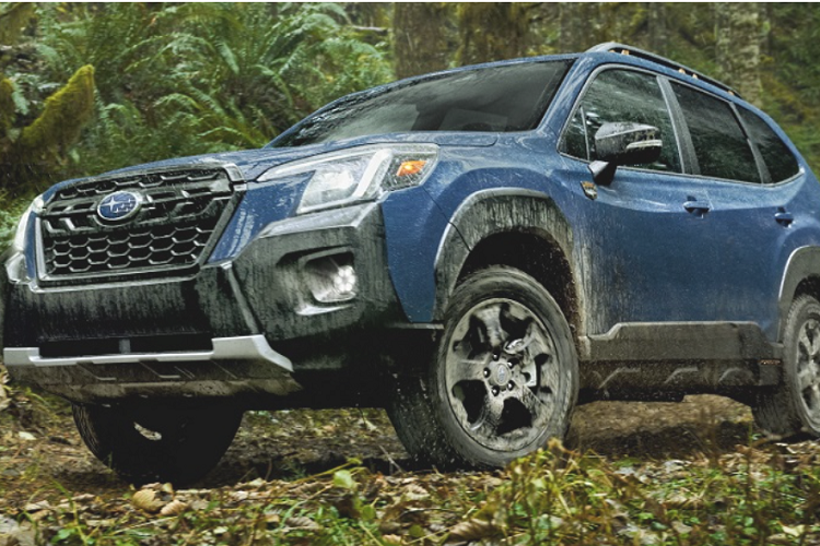 Theo báo cáo từ giới truyền thông Nhật Bản, Subaru Forester 2023 mới vẫn sẽ phát triển trên nền tảng khung gầm toàn cầu Subaru Global Platform hiện đang được ứng dụng cho toàn bộ sản phẩm của Subaru.