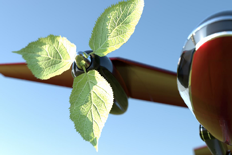 Khi đã bay lên không trung, bộ phận hạ cánh, tức hai chân chim, sẽ thu lại để giảm lực cản, và Macrobat sẽ bay giống như một chiếc máy bay thông thường. Giống như hầu hết các phương tiện eVTOL hiện đang được phát triển, Macrobat hoặc sẽ được điều khiển bởi con người hoặc vận hành từ mặt đất, giống như một máy bay không người lái.