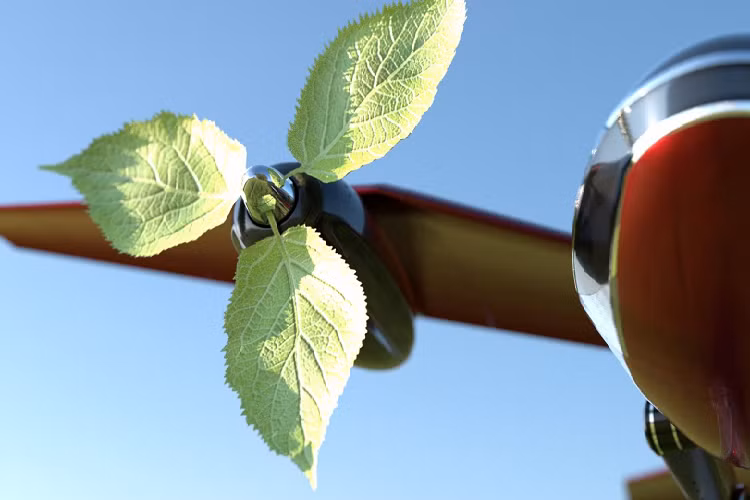 Khi đã bay lên không trung, bộ phận hạ cánh, tức hai chân chim, sẽ thu lại để giảm lực cản, và Macrobat sẽ bay giống như một chiếc máy bay thông thường. Giống như hầu hết các phương tiện eVTOL hiện đang được phát triển, Macrobat hoặc sẽ được điều khiển bởi con người hoặc vận hành từ mặt đất, giống như một máy bay không người lái.