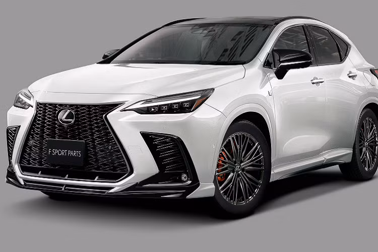 Ở thị trường quốc tế, ngoài NX 450h+, dòng Lexus NX 2022 còn có 3 phiên bản nữa là NX 250, NX 350 và NX 350h. Dù ở phiên bản nào, Lexus NX 2022 đều được phát triển dựa trên phiên bản GA-K của cơ sở gầm bệ Toyota New Global Architecture (TNGA). Xe sở hữu chiều dài 4.660 mm, chiều rộng 1.865 mm và chiều dài cơ sở 2.690 mm.