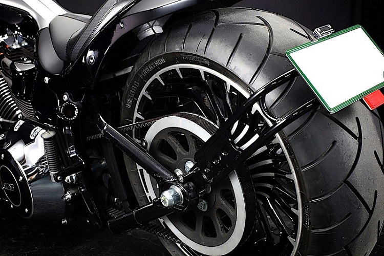 Ngoài các thay đổi về mặt thẩm mỹ kể trên, Bad Land không thực hiện bất kỳ tinh chỉnh nào liên quan đến hệ truyền động của chiếc Harley-Davidson Breakout 2015.