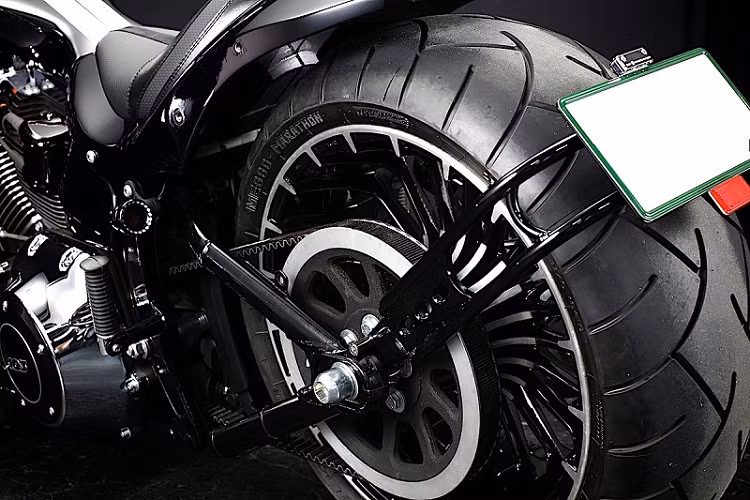 Ngoài các thay đổi về mặt thẩm mỹ kể trên, Bad Land không thực hiện bất kỳ tinh chỉnh nào liên quan đến hệ truyền động của chiếc Harley-Davidson Breakout 2015.