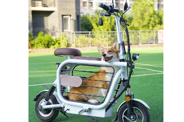 Phạm vi di chuyển tối đa của Mopet là 60 km, theo ước tính của nhà sản xuất. Điểm đáng chú ý là bộ pin của chiếc xe hoàn toàn có thể tháo rời để thay thế khi cần thiết. Thời gian sạc cũng tương đối nhanh, chỉ khoảng 6 giờ với công suất nguồn điện thông thường trong các hộ gia đình. Ngoài ra, Mopet chỉ nặng khoảng 28 kg và có thể dễ dàng gấp gọn lại.