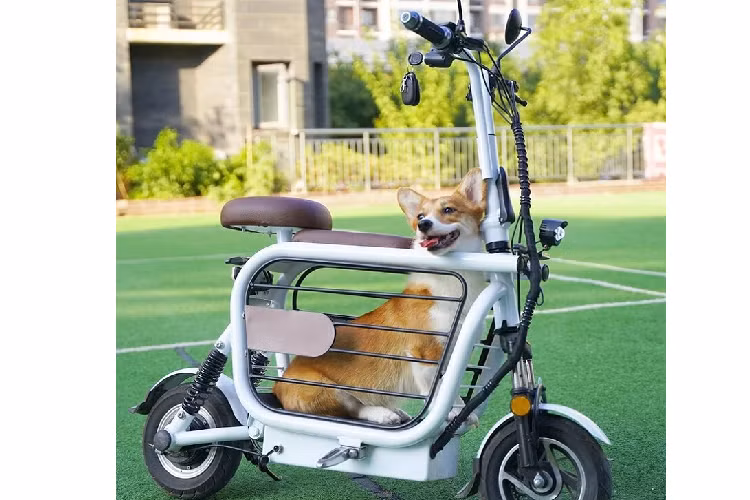 Phạm vi di chuyển tối đa của Mopet là 60 km, theo ước tính của nhà sản xuất. Điểm đáng chú ý là bộ pin của chiếc xe hoàn toàn có thể tháo rời để thay thế khi cần thiết. Thời gian sạc cũng tương đối nhanh, chỉ khoảng 6 giờ với công suất nguồn điện thông thường trong các hộ gia đình. Ngoài ra, Mopet chỉ nặng khoảng 28 kg và có thể dễ dàng gấp gọn lại.