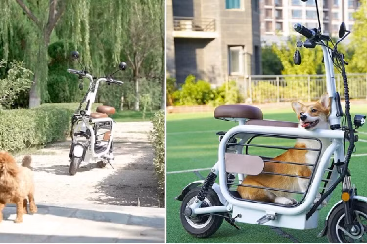 Để đáp ứng nhu cầu đi lại và mang theo thú cưng mỗi khi ra ngoài của người dân Nhật Bản, một công ty startup ở Hokkaido vừa giới thiệu mẫu xe máy điện Mopet hoàn toàn mới.