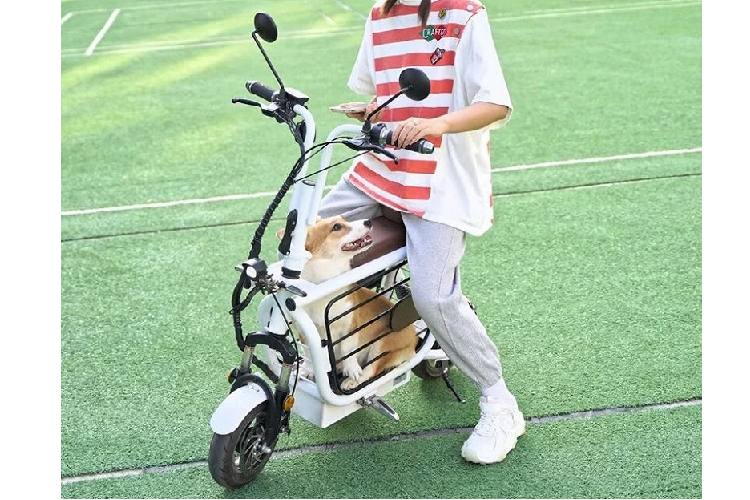 Đến với một điểm không kém phần quan trọng là thông số kích thước của chiếc chuồng dưới yên xe. Cụ thể, nó dài 45cm, rộng 21cm và cao 33cm - có đủ khả năng để chở một chú chó trưởng thành có kích cỡ vừa phải.