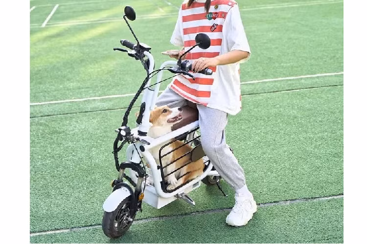 Đến với một điểm không kém phần quan trọng là thông số kích thước của chiếc chuồng dưới yên xe. Cụ thể, nó dài 45cm, rộng 21cm và cao 33cm - có đủ khả năng để chở một chú chó trưởng thành có kích cỡ vừa phải.