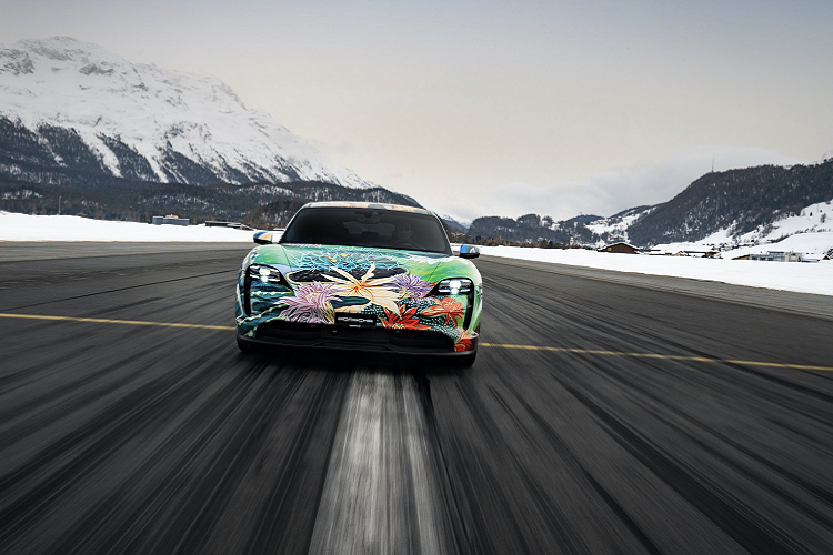 Phillips là một họa sĩ nổi tiếng về trường phái chân dụng và siêu thực. Tuy nhiên, Queen of the Night là một bức tranh đầy đủ màu sắc về thiên nhiên. Cảm hứng của Phillips đến từ Adolf Dietrich - một họa sĩ phong cảnh người Thụy Sĩ.