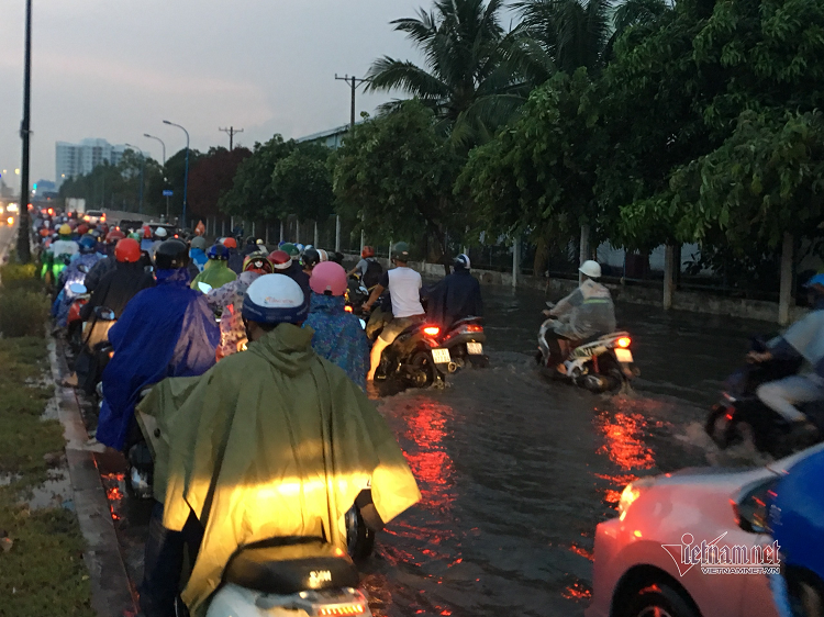Mua nhu trut, nhieu tuyen duong o Sai Gon ngap lenh lang-Hinh-7