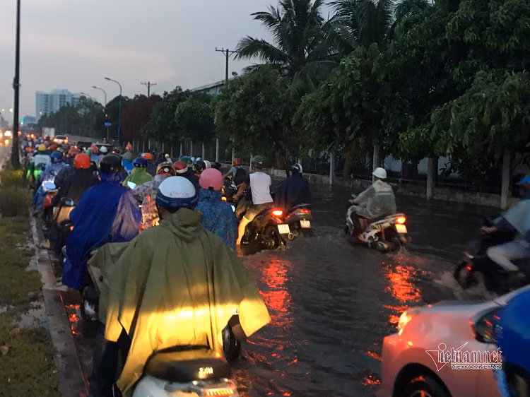 Mua nhu trut, nhieu tuyen duong o Sai Gon ngap lenh lang-Hinh-7