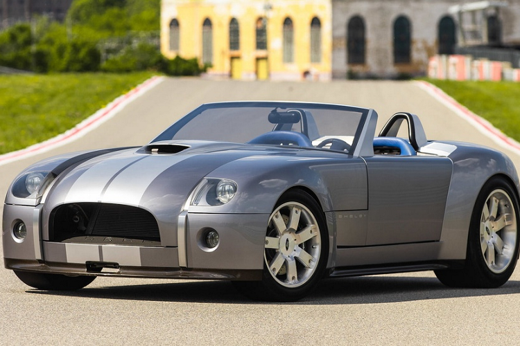 Năm 2004, Ford đã trình làng mẫu xe ý tưởng Shelby Cobra đặc biệt tại Triển lãm Ô tô Quốc tế Bắc Mỹ. Chiếc xe được làm thủ công, sử dụng động cơ V10 để hồi tưởng về mẫu Cobra nguyên bản vốn được giám sát bởi chính Carroll Shelby.