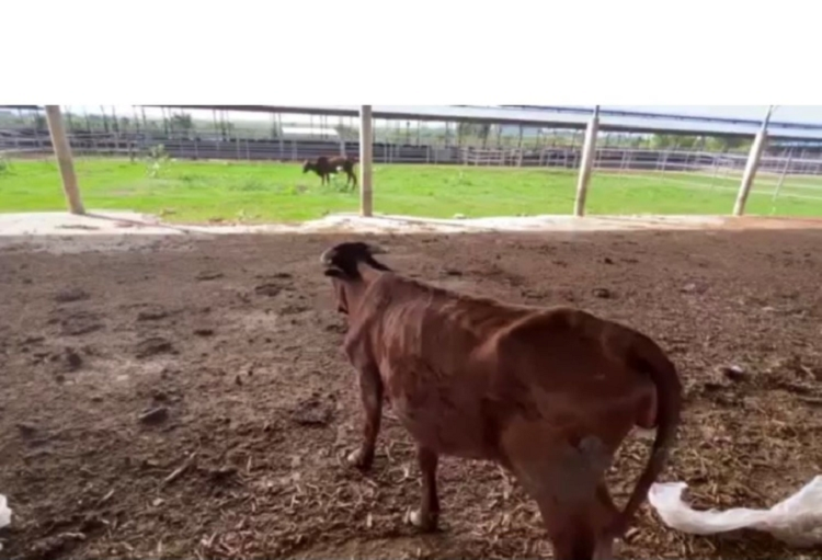 Dan bo om doi tro xuong tai du an cong nghe cao nghin ty o Binh Thuan-Hinh-2