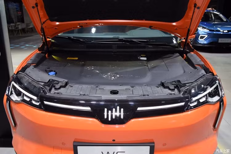 Bên sườn, Weltmeister W6 có thiết kế khá đơn giản và mượt mà với các cột màu đen, tạo hiệu ứng "nóc lơ lửng". Thêm vào đó là tay nắm cửa bật lên, thụt xuống, góp phần mang đến hệ số lực cản không khí 0,3 Cd cho mẫu ô tô Trung Quốc này. Đằng sau Weltmeister W6 xuất hiện cụm đèn hậu thanh mảnh và nối liền với nhau, tạo sự tương đồng với đèn trên đầu xe. Cuối cùng là cánh gió mui tích hợp đèn phanh trên cao và tấm ốp màu bạc bên dưới cản sau.