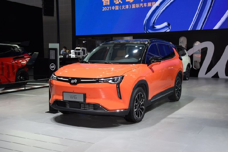 Nguồn cung cấp sức mạnh cho Weltmeister W6 là mô-tơ điện nam châm vĩnh cửu với công suất tối đa 214 mã lực và mô-men xoắn cực đại 225 Nm. Tùy thuộc vào loại pin đi kèm, xe có thể chạy được 520 km hoặc 620 km sau khi sạc đầy pin. Tại thị trường Trung Quốc, giá xe Weltmeister W6 hiện đang được bán từ 169.800 - 259.800 Nhân dân tệ (khoảng 594 - 909 triệu đồng).