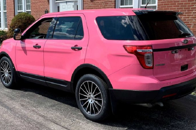 Toàn bộ ghế và các tấm cửa được bọc da hồng kết hợp với một chút da màu trắng. Thảm sàn cũng có màu hồng điệu đà.