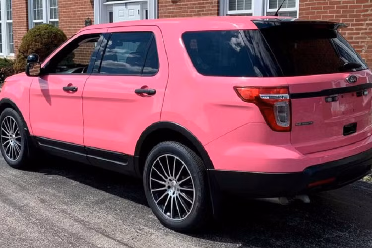 Toàn bộ ghế và các tấm cửa được bọc da hồng kết hợp với một chút da màu trắng. Thảm sàn cũng có màu hồng điệu đà.