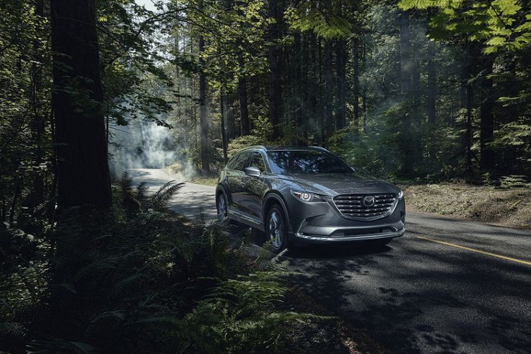 Phiên bản Mazda CX-9 Signature đầu bảng sẽ được trang bị hàng ghế phía sau là ghế ngồi độc lập có sưởi, hàng ghế thứ nhất và thứ hai bọc da Nappa, mâm xe 20 inch và ống xả lớn hơn.