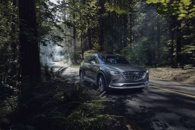 Phiên bản Mazda CX-9 Signature đầu bảng sẽ được trang bị hàng ghế phía sau là ghế ngồi độc lập có sưởi, hàng ghế thứ nhất và thứ hai bọc da Nappa, mâm xe 20 inch và ống xả lớn hơn.