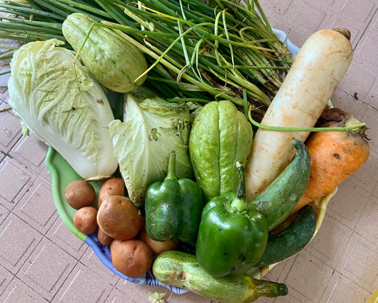 Phien cho 0 dong se chia rau cu cho nguoi dan TP.HCM