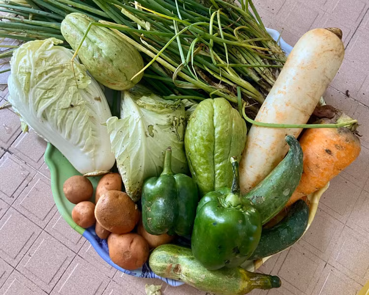 Phien cho 0 dong se chia rau cu cho nguoi dan TP.HCM