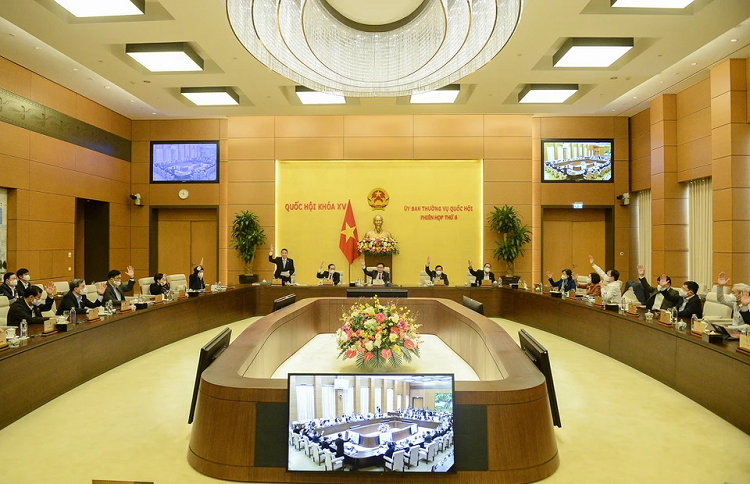 Thanh tra viec mua sam kit xet nghiem tai Bo Y te, Ha Noi va TP.HCM