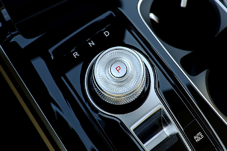 Tại thị trường quốc tế, Kia Carnival 2021 sử dụng động cơ diesel 4 xy-lanh 2.2L, sản sinh công suất 198 mã lực tại 3.800 vòng/phút và mô-men xoắn 440 Nm tại 1.750-2.750 vòng/phút.