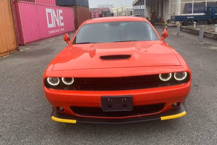 Những dòng xe thể thao tại Việt Nam được các đại gia ưa chuộng bao gồm Chevrolet Camaro, Ford Mustang hay Chevrolet Corvette. Trong số đó, các công ty nhập khẩu tư nhân cũng mạnh dạn đưa về dải đất hình chữ S mẫu xe Dodge Challenger. Hiện đã có trên 5 chiếc với nhiều phiên bản khác nhau và mới nhất là Dodge Challenger GT đời mới.