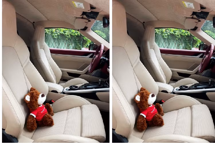 Ở bên trong, nội thất xe được hoàn thiện trong chất liệu da hai tông màu độc đáo là đỏ Bordeaux phối cùng da màu be Atacama. Để tái hiện xu hướng thời trang của những thập niên 50, Porsche còn dùng vải nhung kẻ (corduroy) cho ghế ngồi và viền cửa, đi kèm với đó là mui mềm làm từ sợi Microtex (microfiber) và một loạt các chi tiết nội thất bọc da đều được thiết kế độc quyền bởi nhà máy Exclusive Manufaktur.