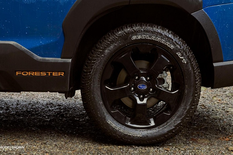 Theo Cơ quan bảo vệ môi trường Mỹ EPA, Subaru Forester Wilderness 2022 tiêu thụ lượng xăng là 9,4 lít/100 km nội thành, 8,4 lít/100 km cao tốc và 9,05 lít/100 km đường hỗn hợp.