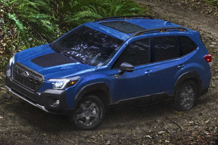 Ngoài ra, Subaru Forester Wilderness 2022 còn có đề-can màu đen nhám trên nắp ca-pô nhằm giảm tình trạng lóa mắt cho người điều khiển. Thêm vào đó là baga mới trên nóc xe và tấm ốp bảo vệ gầm trong những chuyến off-road. Trên chắn bùn trước của xe sẽ có logo "Subaru Wilderness" như dấu hiệu nhận biết so với bản thường.