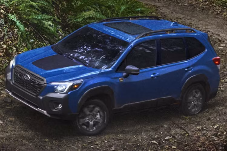 Ngoài ra, Subaru Forester Wilderness 2022 còn có đề-can màu đen nhám trên nắp ca-pô nhằm giảm tình trạng lóa mắt cho người điều khiển. Thêm vào đó là baga mới trên nóc xe và tấm ốp bảo vệ gầm trong những chuyến off-road. Trên chắn bùn trước của xe sẽ có logo "Subaru Wilderness" như dấu hiệu nhận biết so với bản thường.