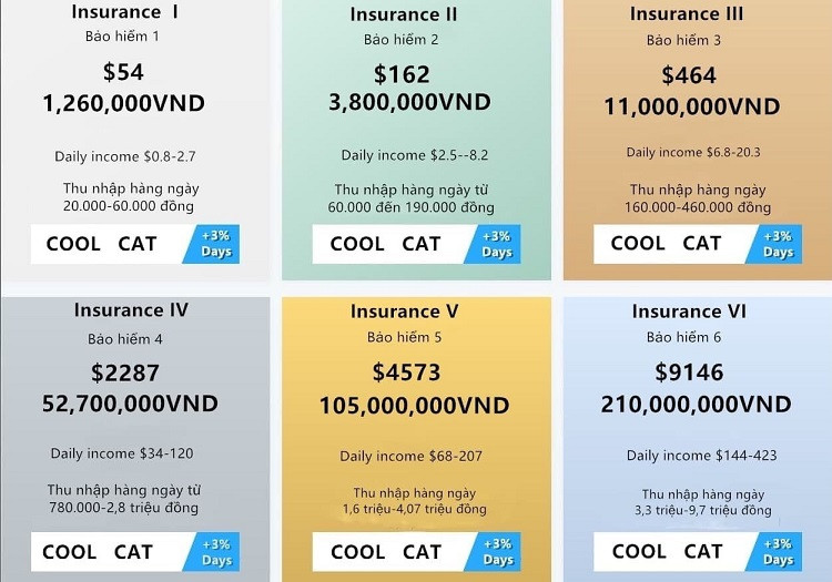 Sap san tien ao Coolcat, hon 200 ty tien that tieu tan-Hinh-3
